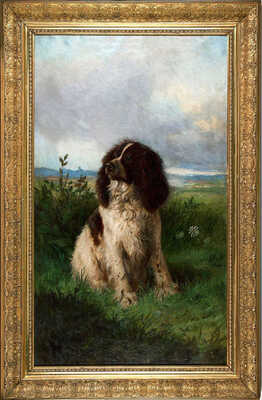 Сверчков Николай Егорович. Портрет спаниеля 